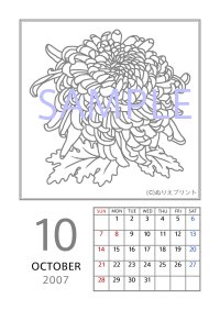 無料の塗り絵 花のぬりえカレンダー07 平成19年 10月 キク 大菊 ぬりえイラスト