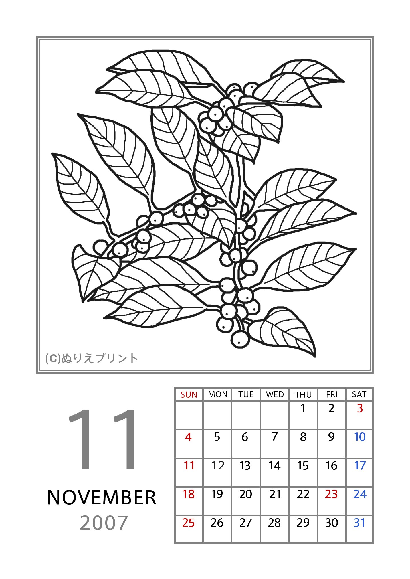 無料の塗り絵 花のぬりえカレンダー07 平成19年 11月 ウメモドキ ぬりえイラスト