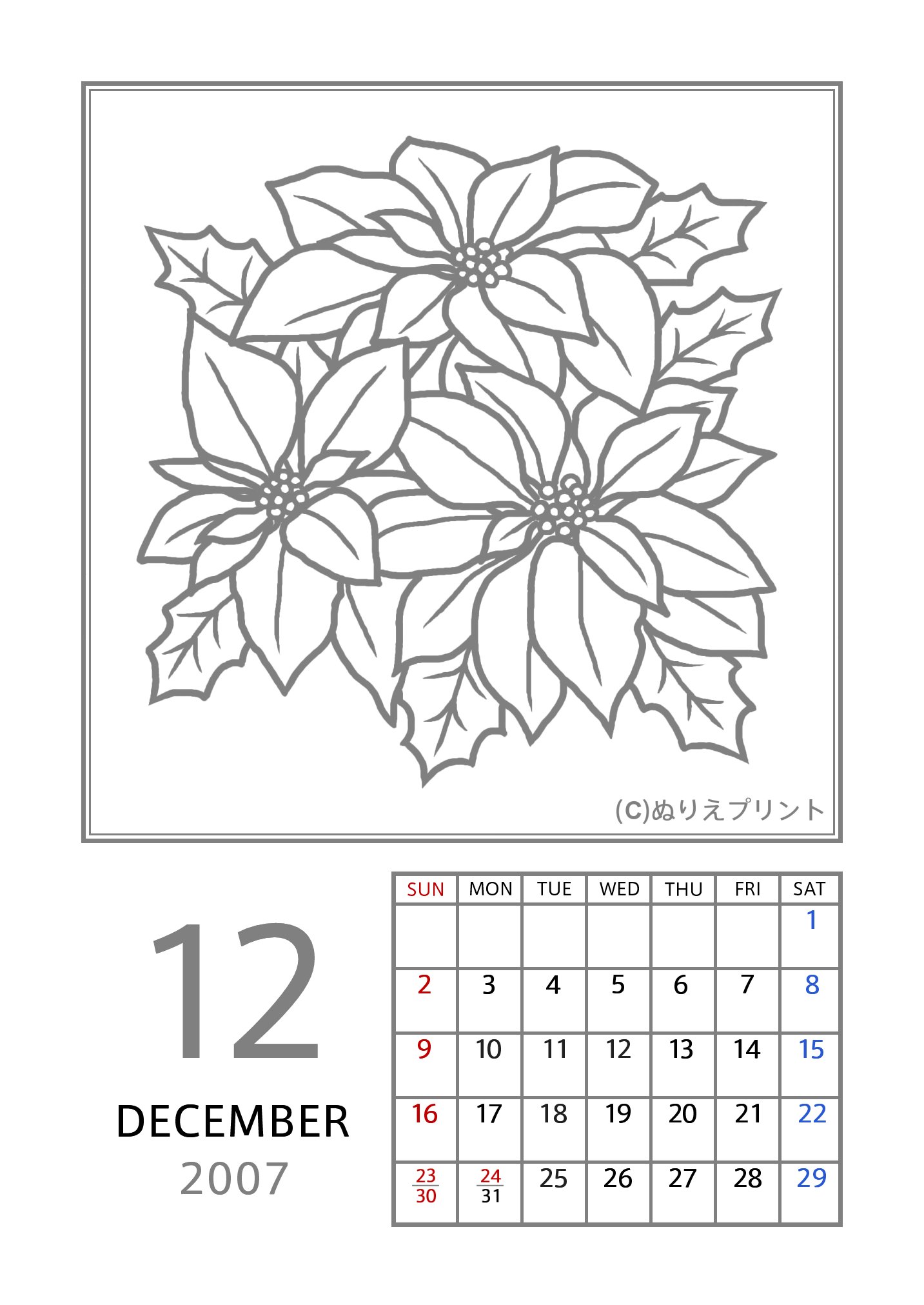 12月 ポインセチア グレー 07 平成19年 花のぬりえカレンダー 無料 フリー ぬりえプリント