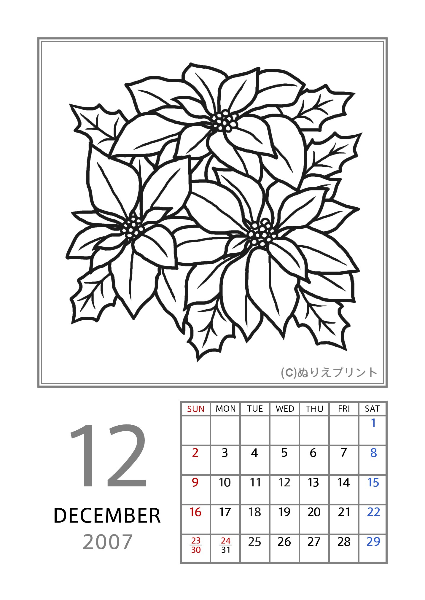 無料の塗り絵 花のぬりえカレンダー07 平成19年 12月 ポインセチア ぬりえイラスト