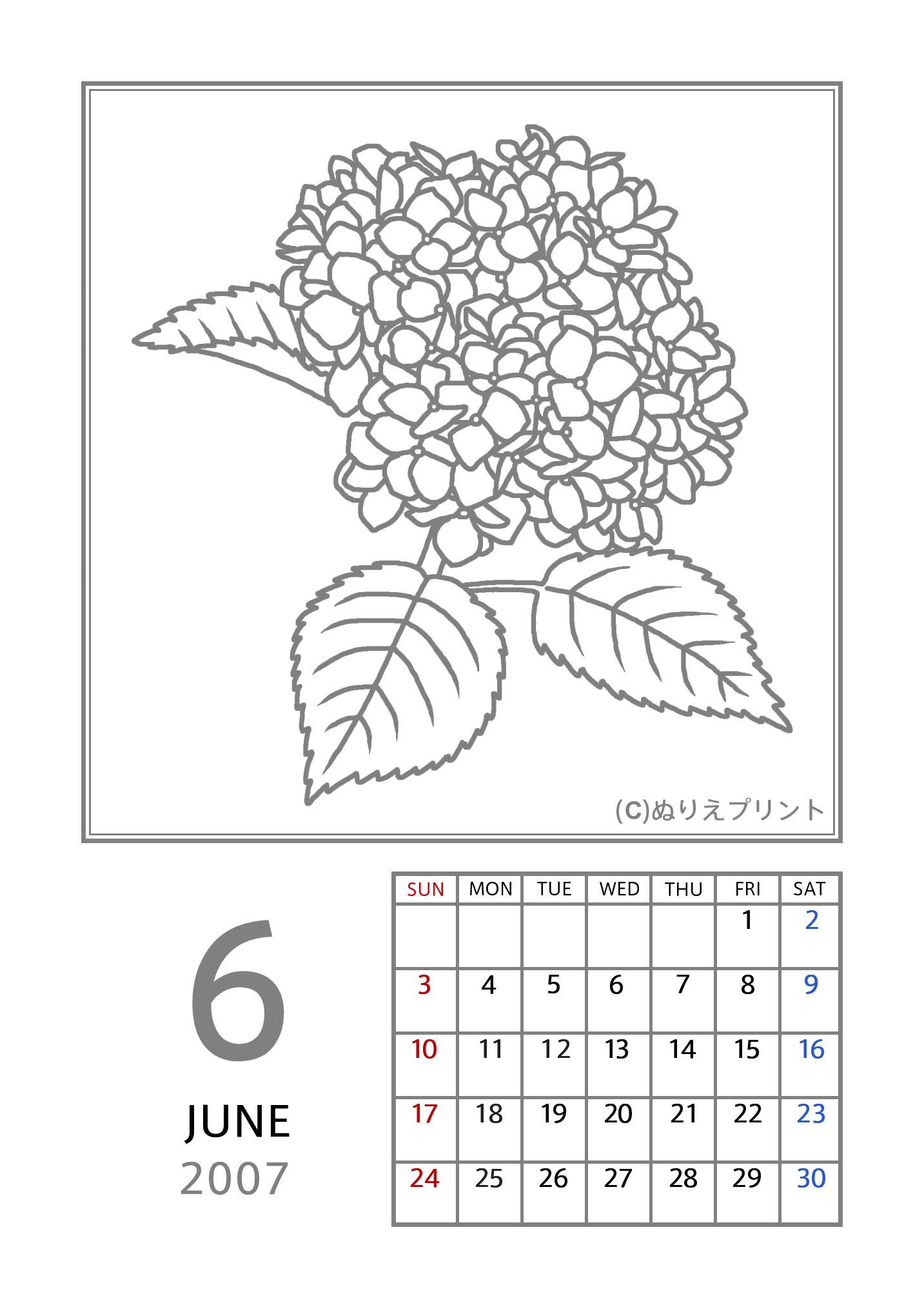 6月 アジサイ 紫陽花 グレー 2007 平成19年 花のぬりえカレンダー 無料 フリー ぬりえプリント