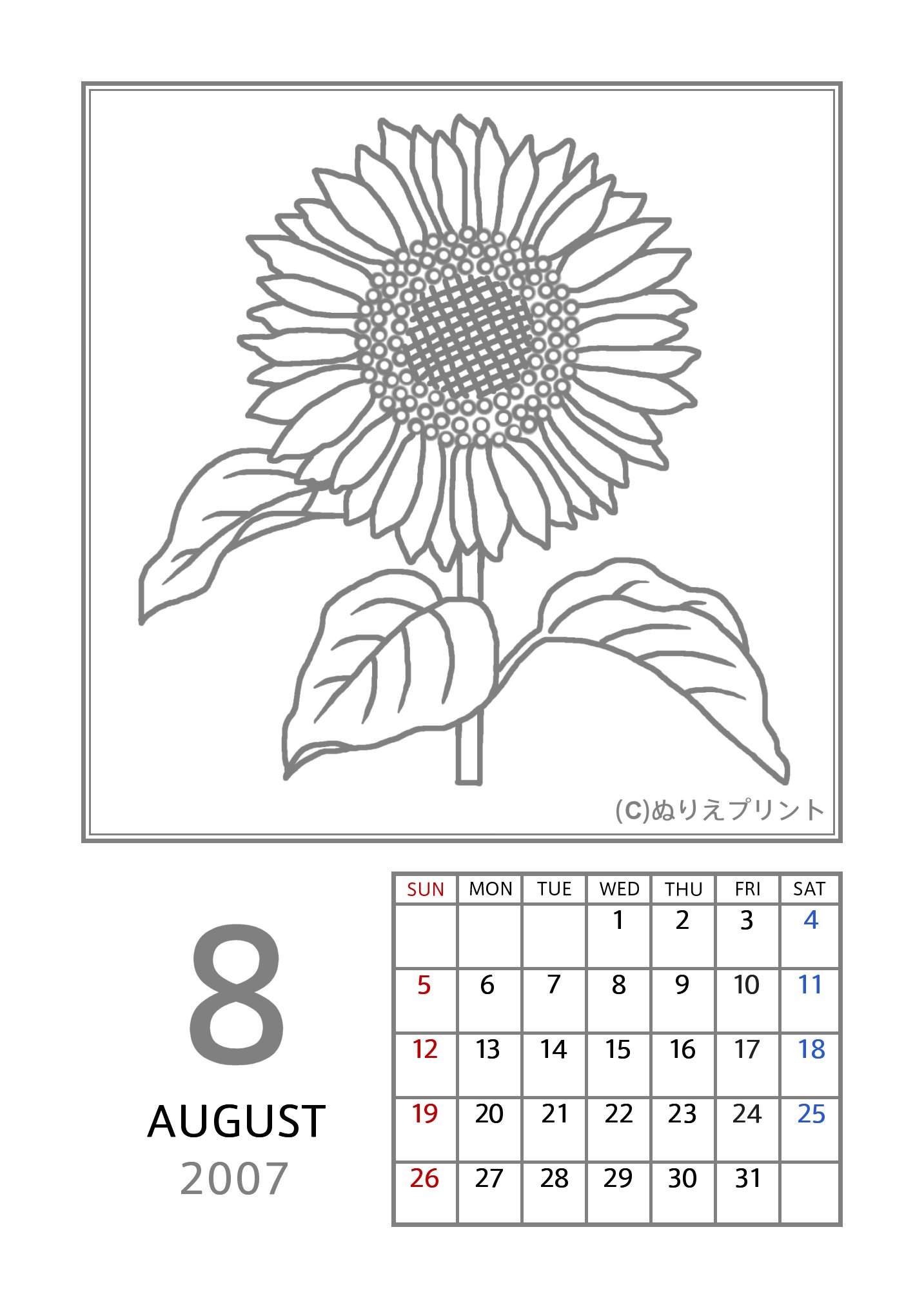 無料の塗り絵 花のぬりえカレンダー07 平成19年 8月 ヒマワリ 向日葵 ぬりえイラスト