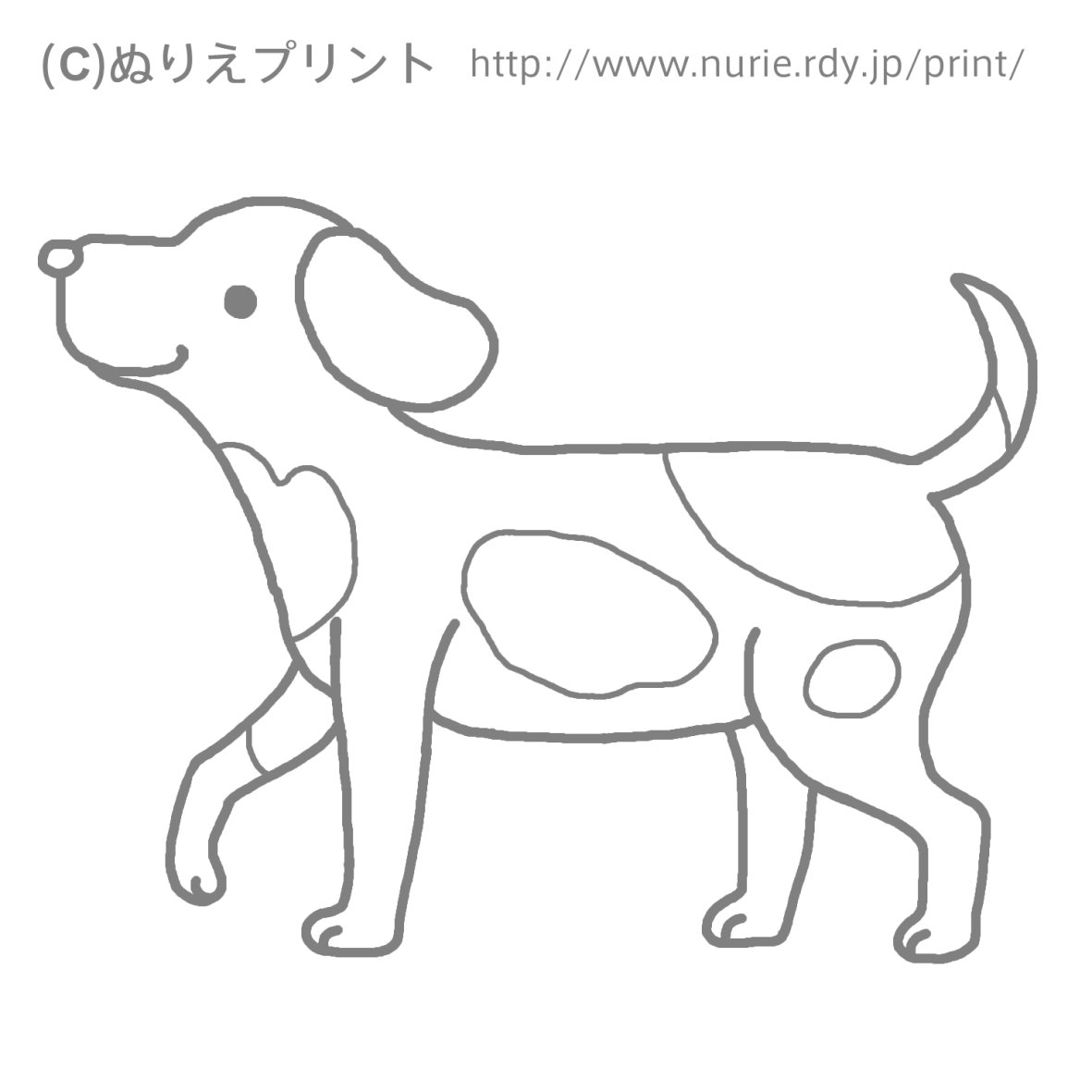 ぬりえ 無料 犬 いぬ 動物 こどものぬりえ